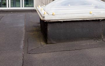 disadvantages of Tanyfron flat roofs