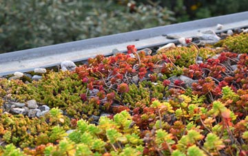 the cost of Tanyfron green roof installation