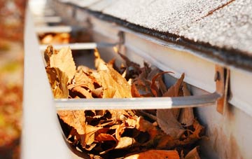 Tanyfron gutter cleaning companies