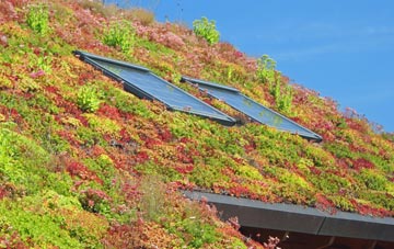 Tanyfron living roof systems