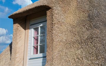 Tanyfron thatch roof disadvantages