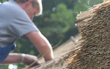 professional Tanyfron thatchers