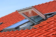 Tanyfron roof window