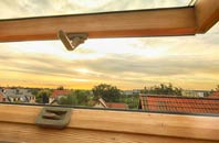 rated Tanyfron roof window companies