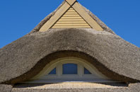 Tanyfron thatch roofing